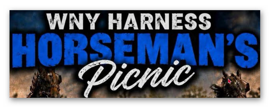 https://www.wnyhha.net/2026_08_21%20Bills%20Watch%20Party.pdf